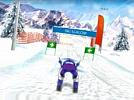 Ski Slalom