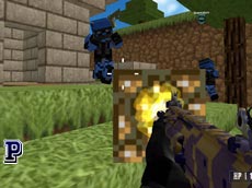 Blocky Combat Swat