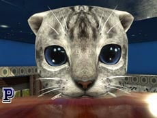 Cat Simulator : Kitty Craft - 🕹️ Online Game