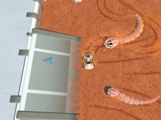 Desert Worms