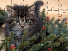 Jigsaw Puzzle: Cats