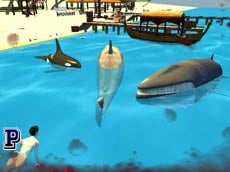 Shark Simulator Beach Killer