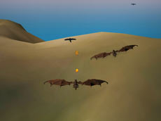 Sky Of Dragons