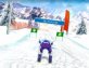 Ski Slalom