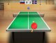 Table Tennis World Tour