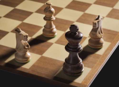 Příklad šachové situace šach mat