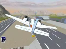 Free Flight Sim