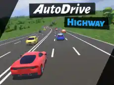 Auto Drive: Highway