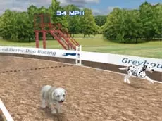 Dog Racing Simulator