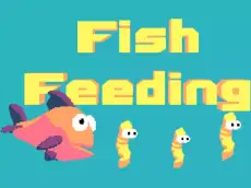 Fish Feeding