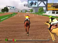 Jumping Horses Champions