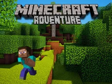 Minecraft Adventure