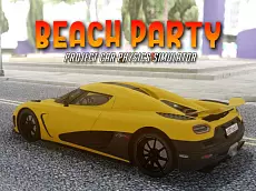 Paradise Beach Project Car Physics Simulator