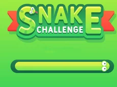 Snake Challenge