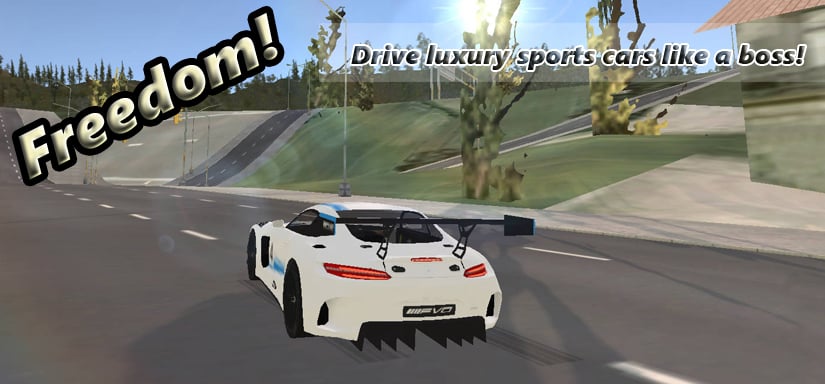 Cars Simulator  Play the Game for Free on PacoGames